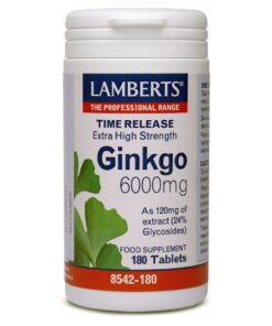 Lamberts Ginkgo Biloba Extract 6000Mg 180 Tabs