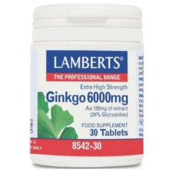 Lamberts Ginkgo Biloba Extract 6000mg για Μνήμη & Συγκέντρωση, 30 Ταμπλέτες